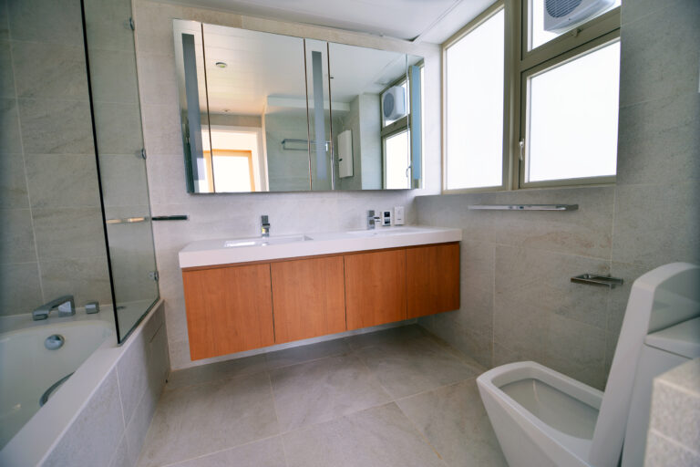 9. ACE Master Bathroom